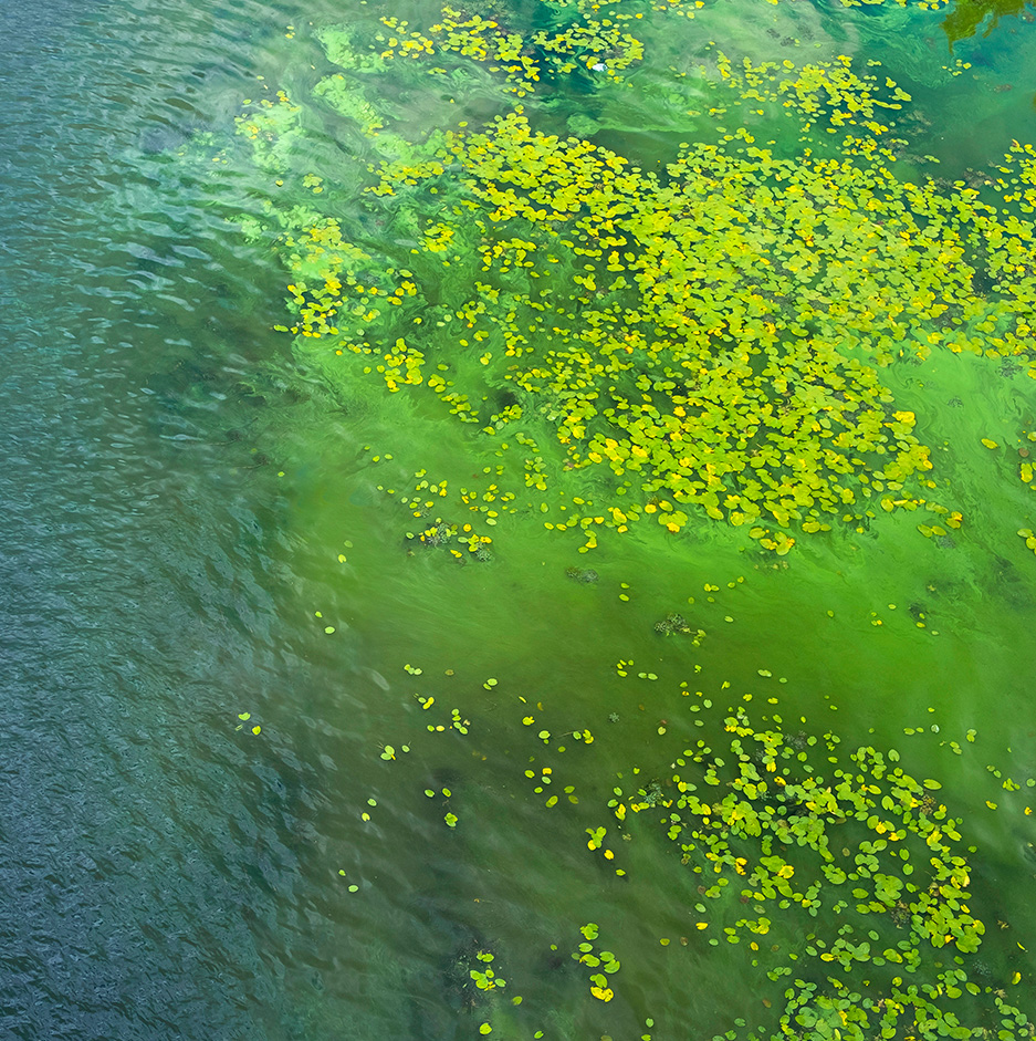 Great Lakes water quality