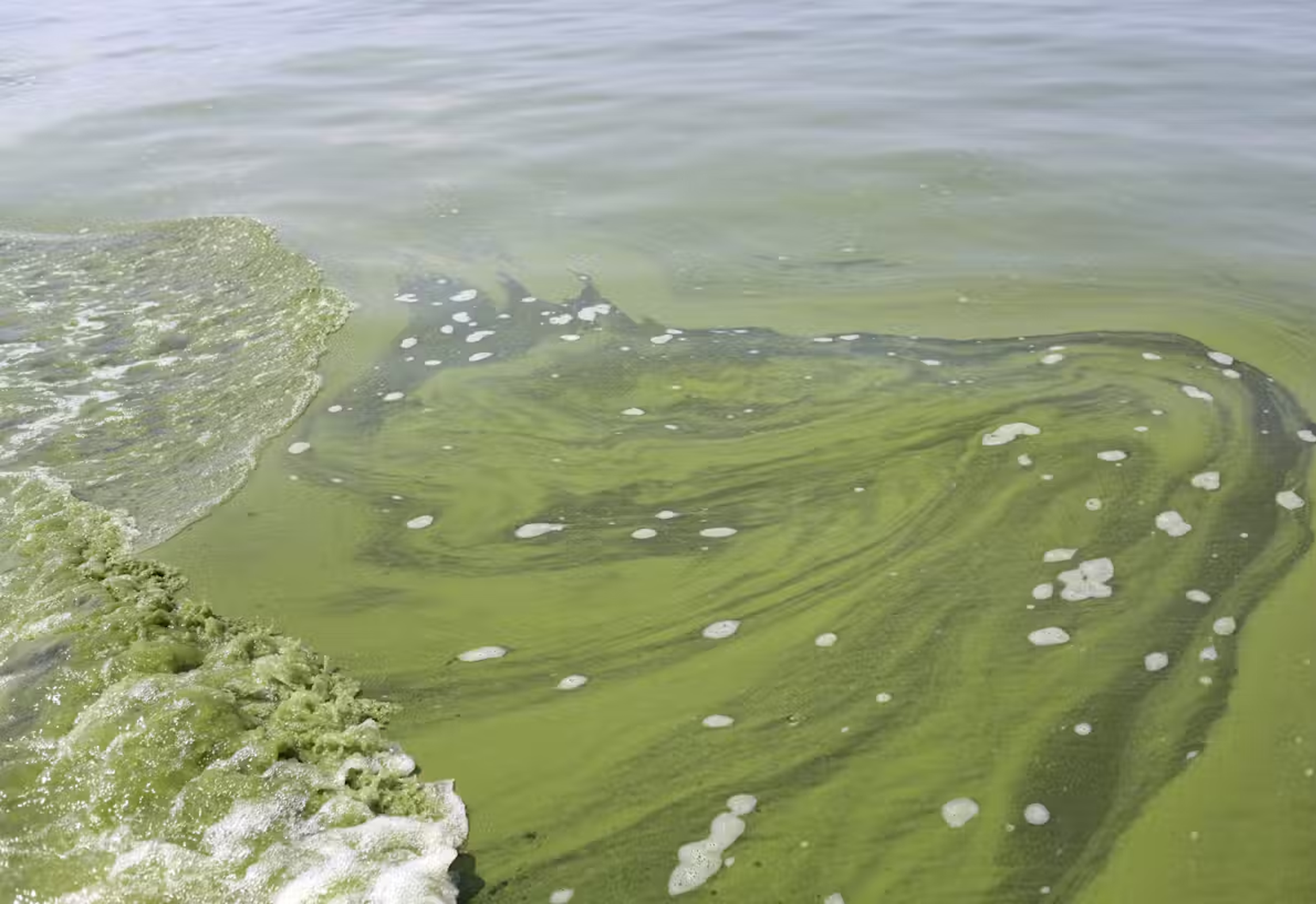Great Lakes algal bloom growth thumbnail