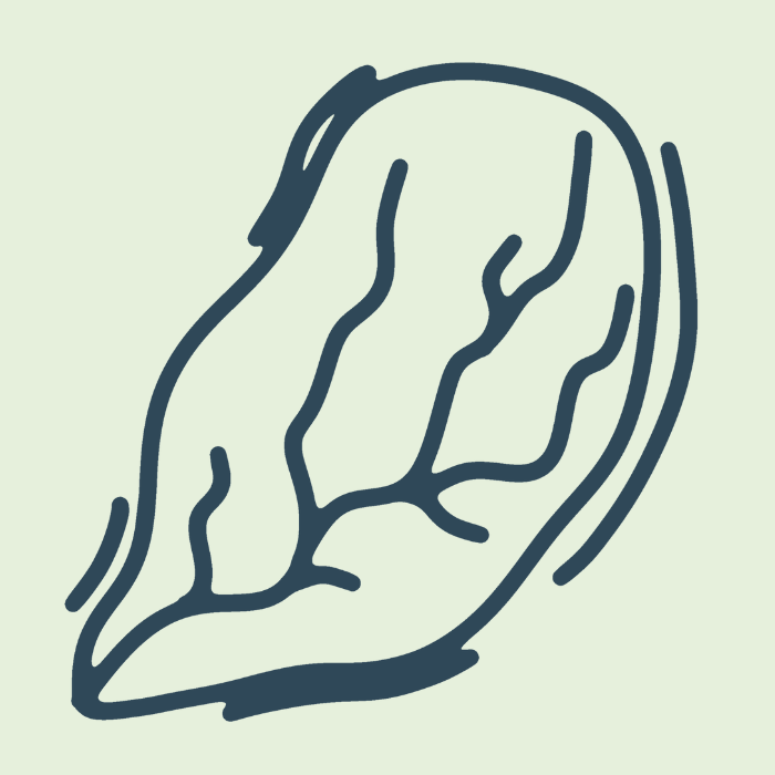 workflow step 4 image